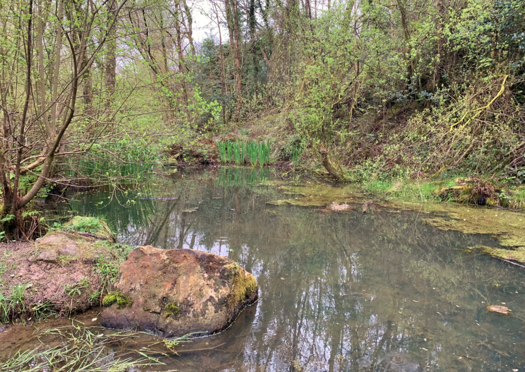 In a car park One Mile Walks