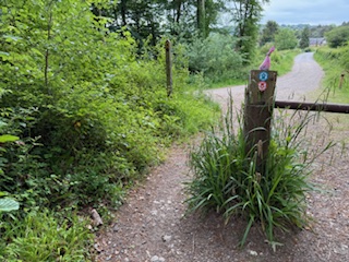 Gap on Path 13 1