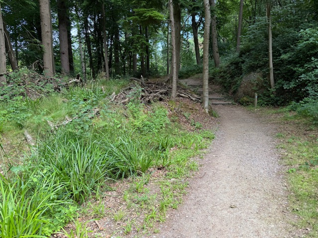 Access image one