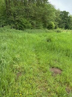 Path 18 1 rotated
