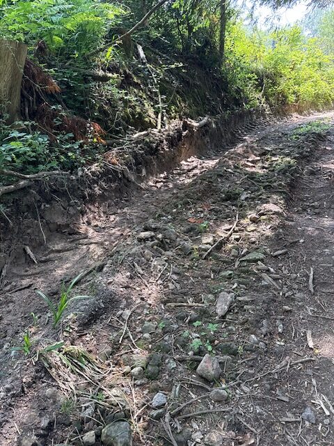 Access image one
