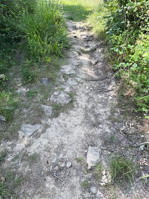 Access image one