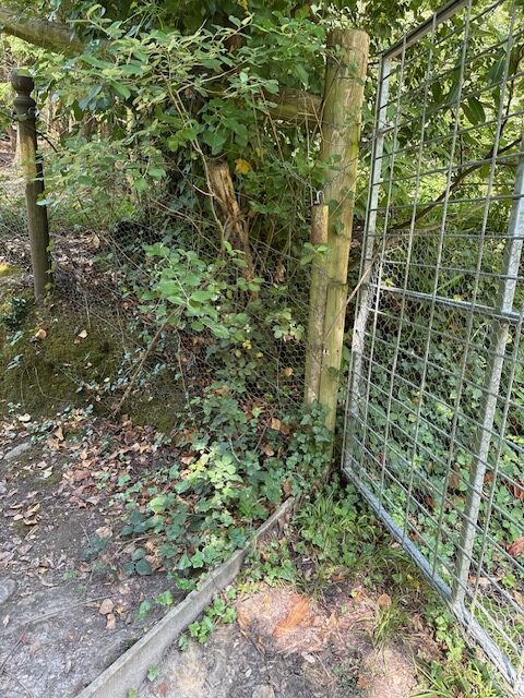 Access image one