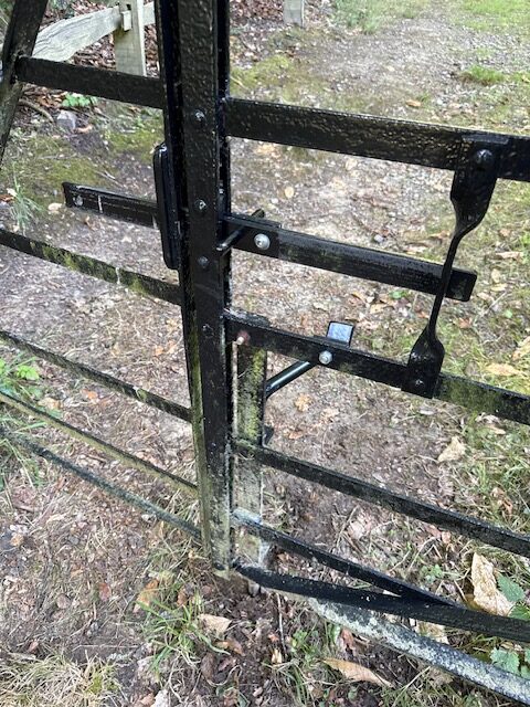 Access image one