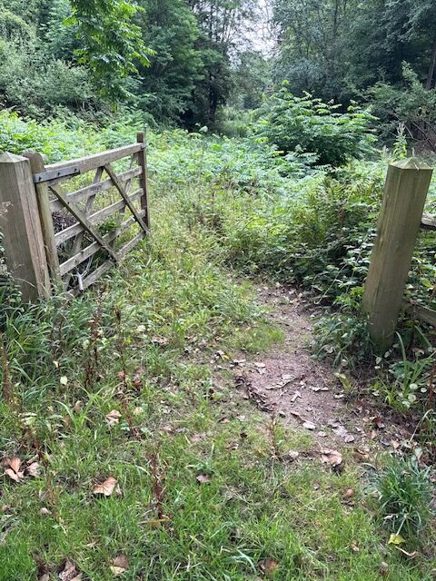 Access image one