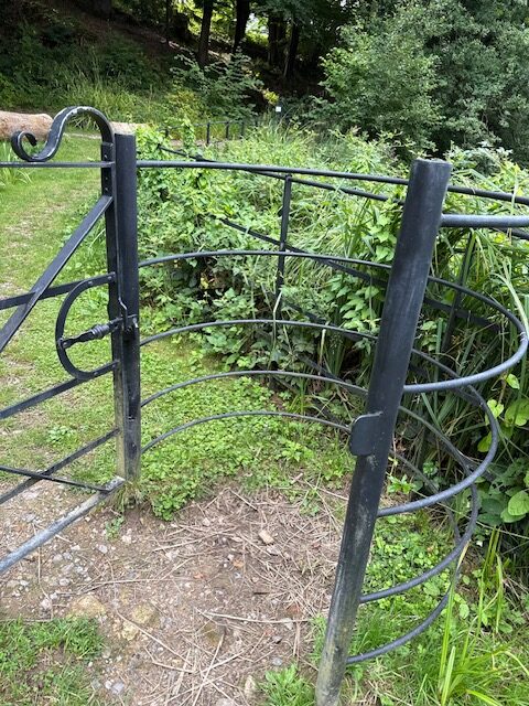 Access image one