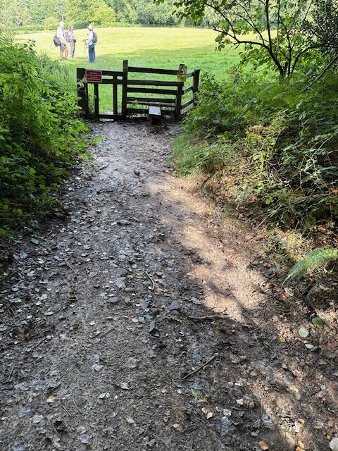 Access image one