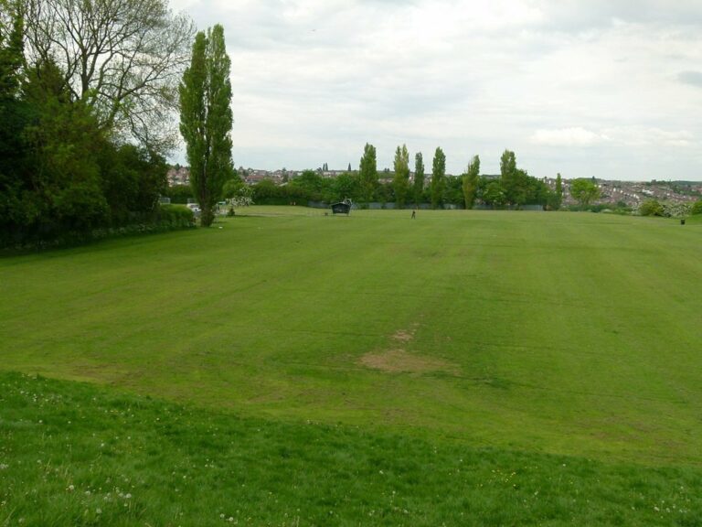 King George V Playing Field