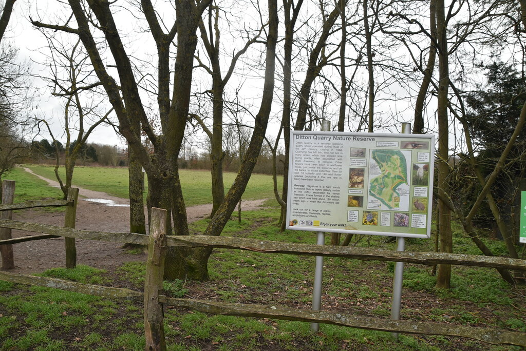 Ditton Quarry