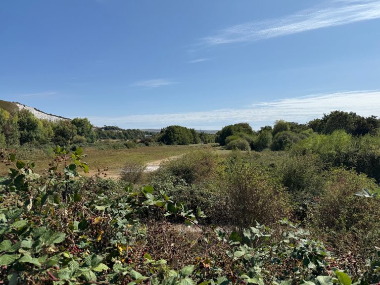 Lewes Railway Land Nature Reserve 2 Lewes Railway Land Nature Reserve